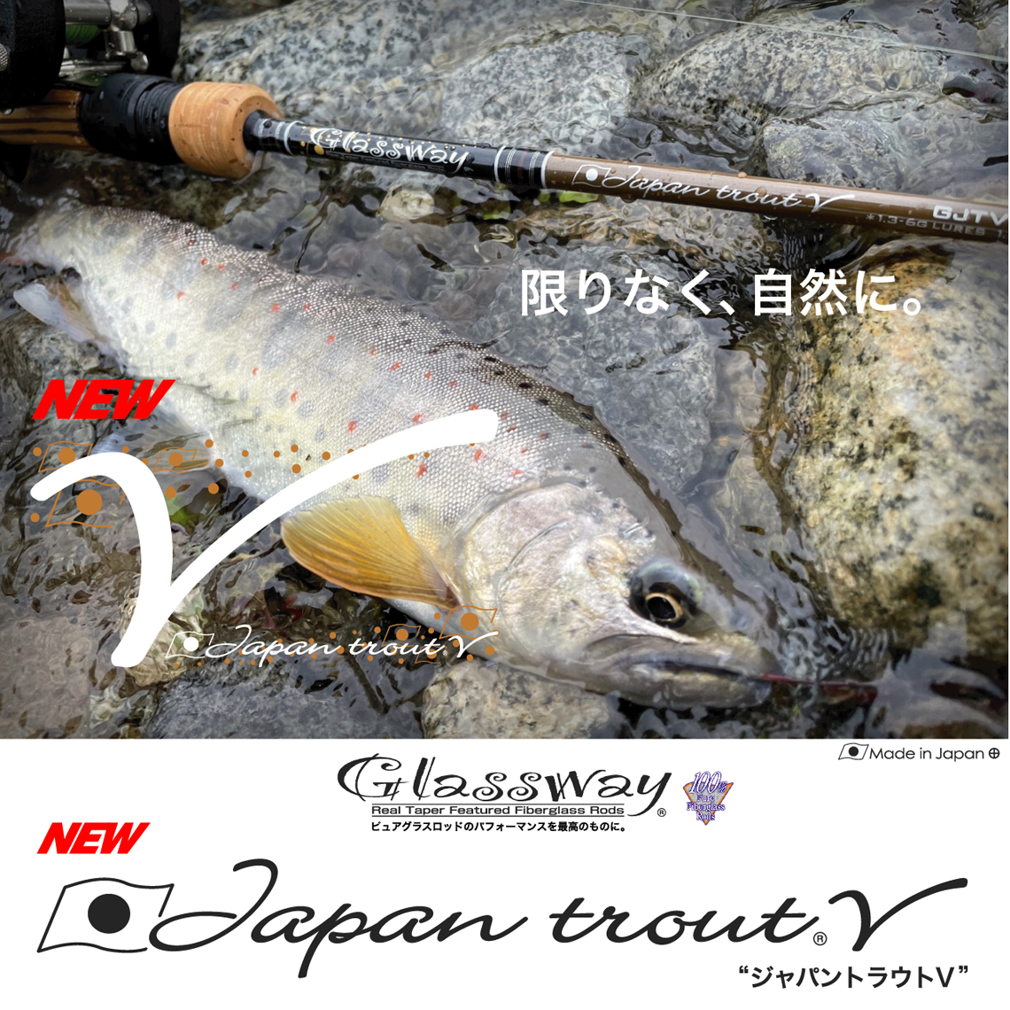 Japan Trout V New Taper Shape